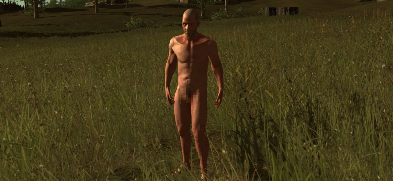 Penis postaci z gry „Rust” wygeneruje się po Steam ID