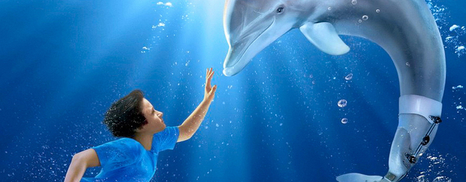 Zwiastun „Dolphin Tale 2”