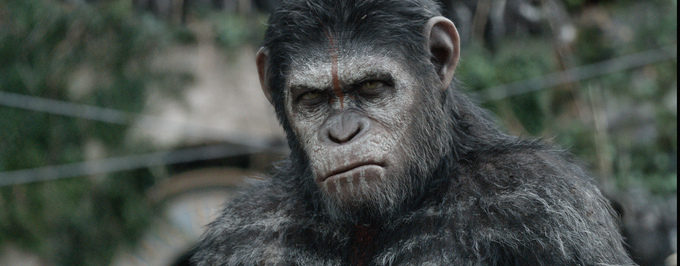 Co w kontynuacji filmu „Ewolucja planety małp”?