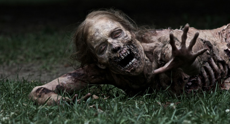 The Walking Dead - zdjęcie