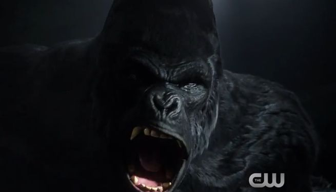 Grodd, efekty specjalne, Flash