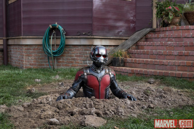 Box Office: „Ant-Man” pokonuje „Minionki”