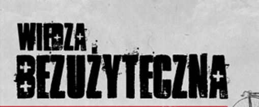 „Bezuzyteczna.pl” wydana w formie książkowej