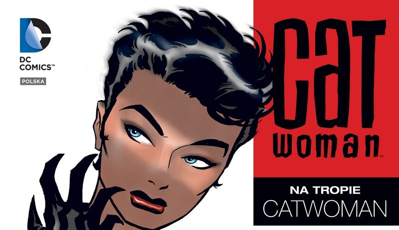 Plansze z komiksu Na tropie Catwoman