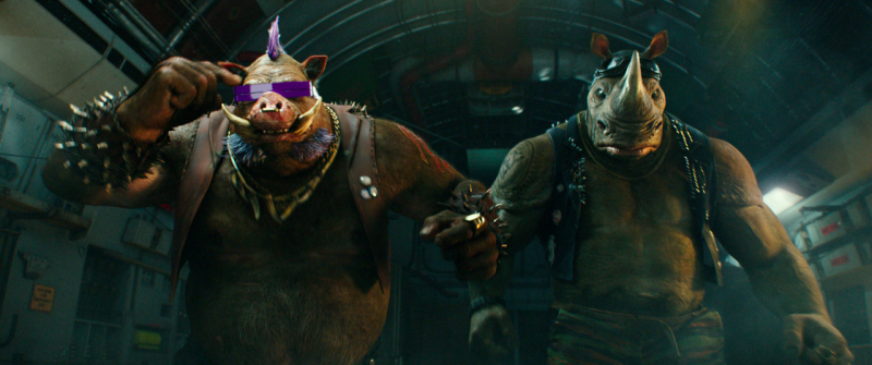 Bebop i Rocksteady