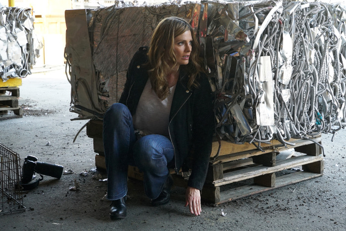 Castle - Stana Katic