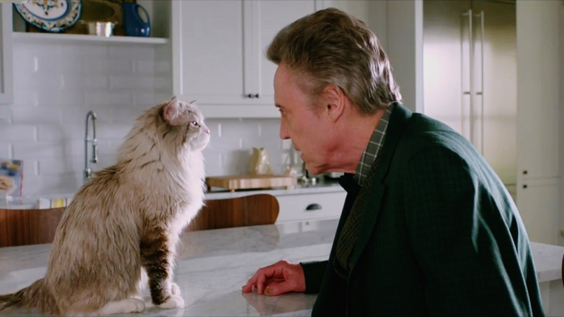 Jak zostać kotem: Zagubiony Kevin Spacey – recenzja