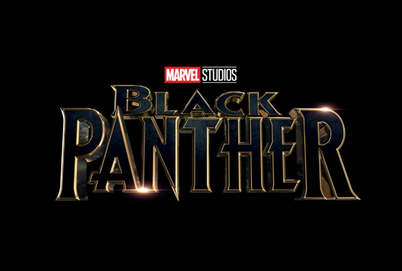 Scenarzysta zdradza szczegóły Black Panther. Kiedy rozpocznie się akcja filmu?