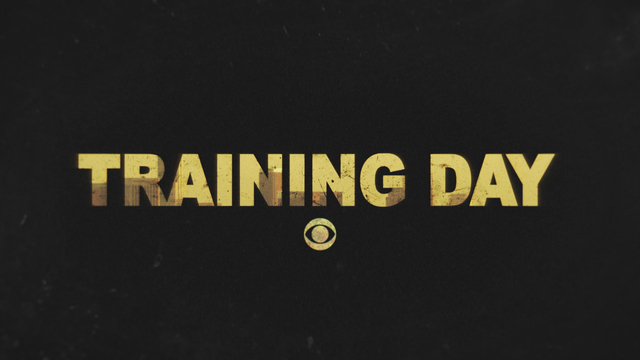 Training Day Logo