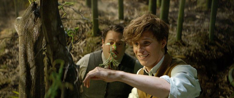 Fantastyczne zwierzęta i jak je znaleźć 2 – Newt i Jacob na nowym zdjęciu z filmu