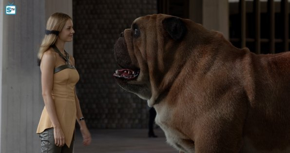 Marvels Inhumans sezon 1 odcinek 1 - zdjęcie