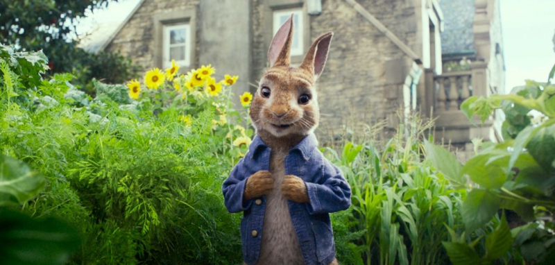 Zbuntowany królik rozrabia. Pierwszy zwiastun familijnego filmu Peter Rabbit