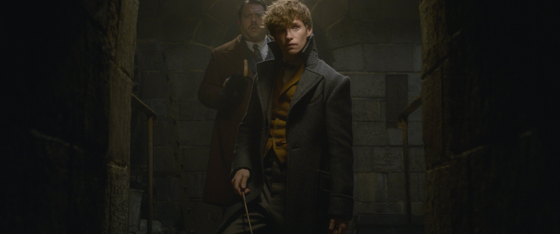 Fantastyczne zwierzęta: Zbrodnie Grindelwalda – młody Newt i Dumbledore na nowym zdjęciu z filmu