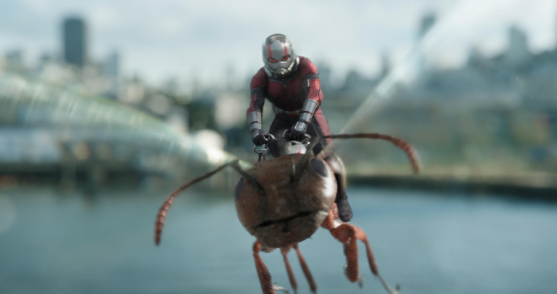 Ant-Man i Osa - zdjęcie