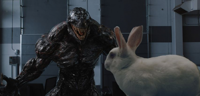 Venom – króliczek, symbiont i Eddie Brock na zdjęciach w lepszej jakości