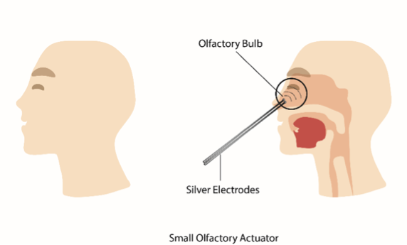 Elektryczna stymulacja nosa pozwoli poczuć zapachy w VR