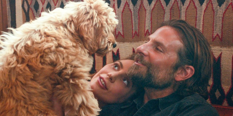Bradley Cooper - narodziny gwiazdy