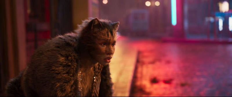 Koty - fanowski zwiastun filmu w stylu kina grozy