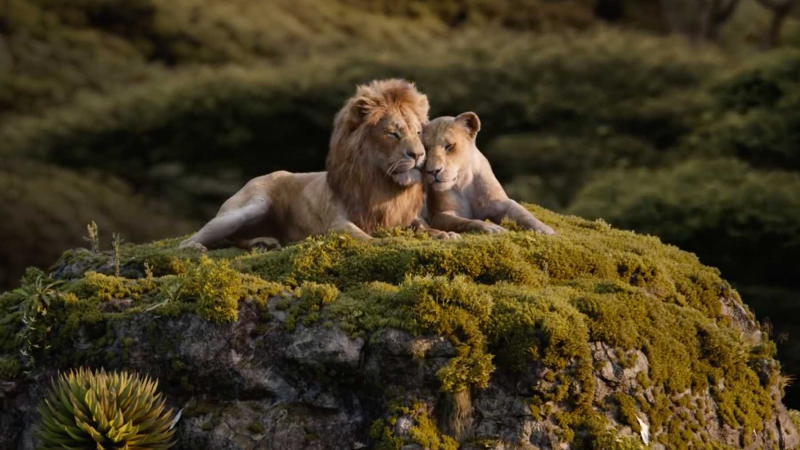 Król lew 2019 - szczery zwiastun filmu