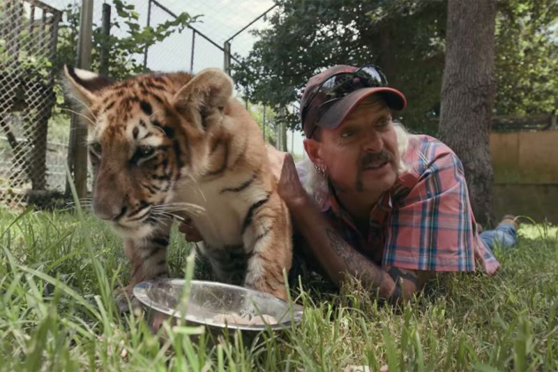 Król tygrysów - ujawniono wynik oglądalności miniserialu Netflixa. Pobił 2. sezon Stranger Things