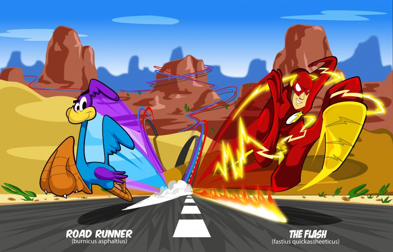 Flash vs. Struś Pędziwiatr