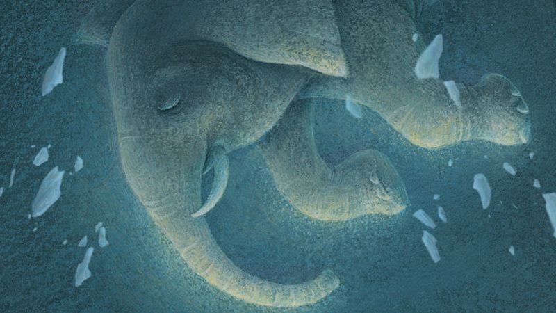 The Magician's Elephant - Netflix ogłasza gwiazdorską obsadę głosową nowej animacji