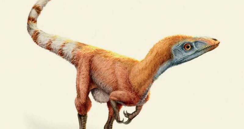 Dinozaury odkryte na nowo. Jak rewolucja naukowa rewiduje historię