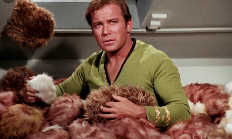 Star Trek: Strange New Worlds: kapitan Kirk obsadzony! Zagra go gwiazda Pamiętników wampirów