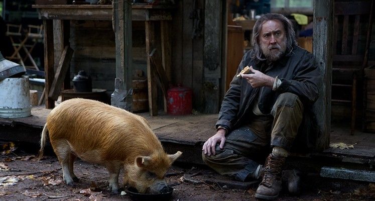 Pig - zwiastun dramatu. Nicolas Cage, wielkie aktorstwo i porwanie prosiaczka