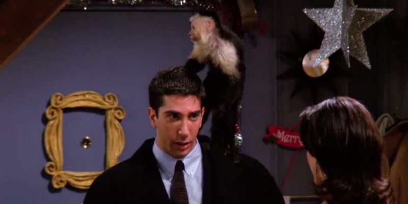 Friends: David Schwimmer nie lubił się z małpką z planu. Trener zwierzęcia opowiedział o tym