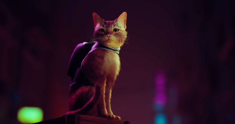 Stray - zwiastun przedstawia przygody kota w cyberpunkowym świecie. Gra trafi też na PS4