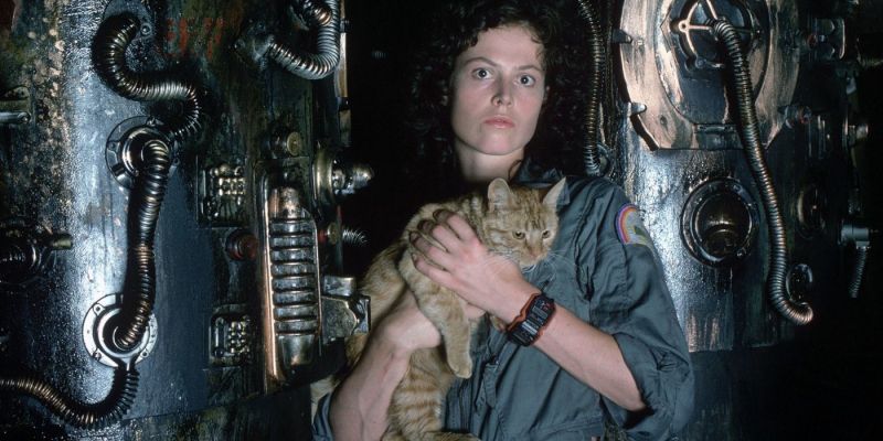 Alien - koty pomagają Obcym w zabijaniu? Brzmi absurdalnie, ale spójrzcie na tę scenę