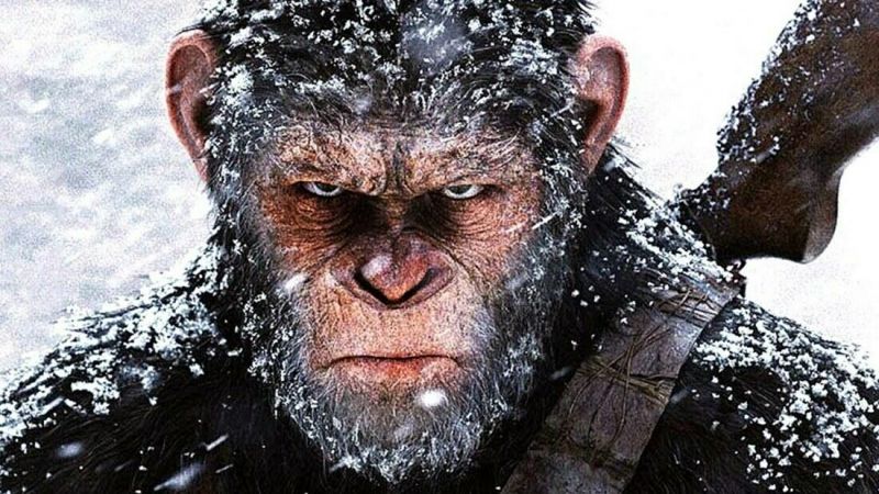 Planeta Małp - będzie nowa trylogia filmowa! Powstała pierwsza wersja scenariusza