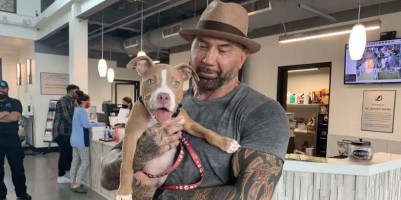 Dave Bautista pokazał zdjęcie uratowanego psa, którego adoptował w zeszłym roku