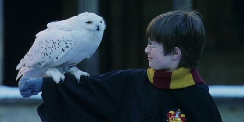 Harry Potter: rzadkie wydanie pierwszej edycji z błędami trafiło na sprzedaż