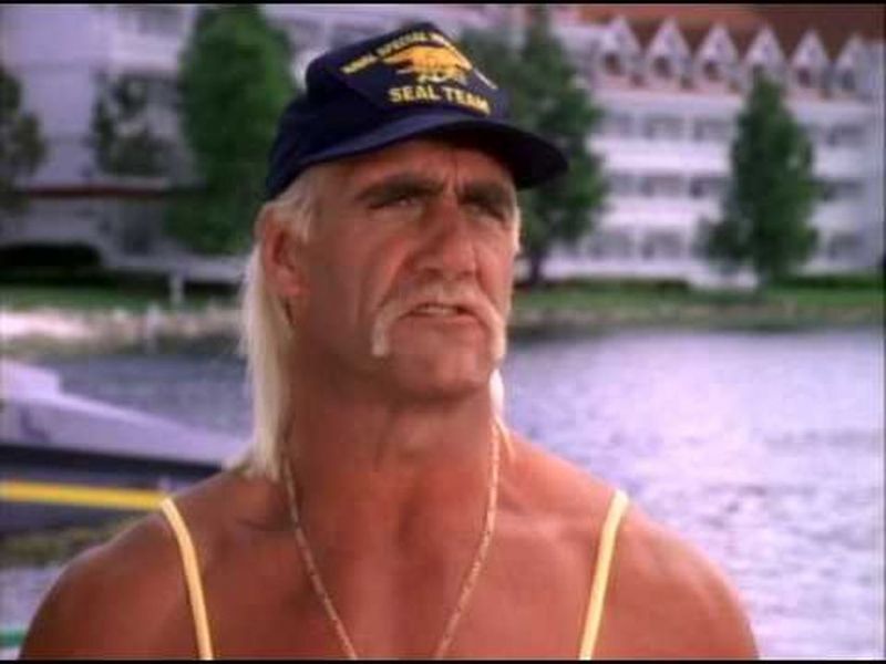 Hulk Hogan - Grom w raju