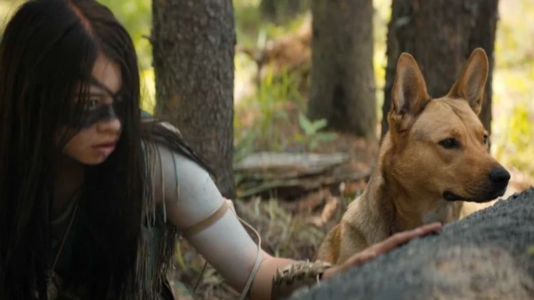 Predator: Prey - pies został adoptowany na potrzeby filmu. Praca była jednak trudna