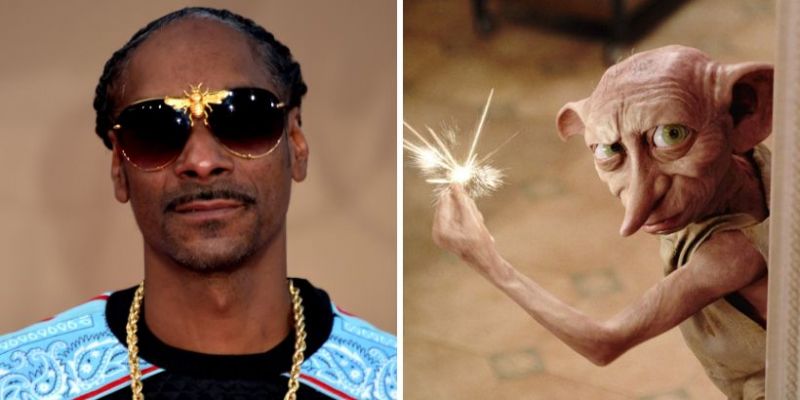 Snoop Dogg Zgredek