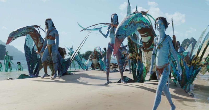 Avatar 2 - kiedy na Blu-ray? Data premiery światowej wycieka do sieci