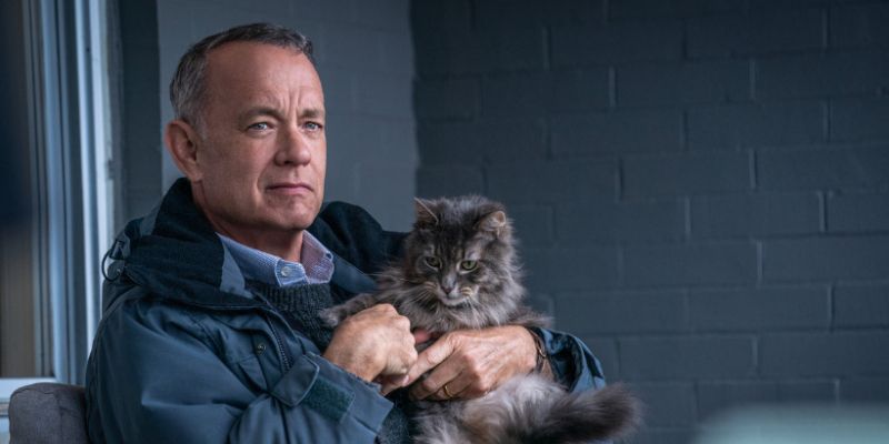 Mężczyzna imieniem Otto: Tom Hanks o pracy z kotem na planie filmu. "Dogadali" się?