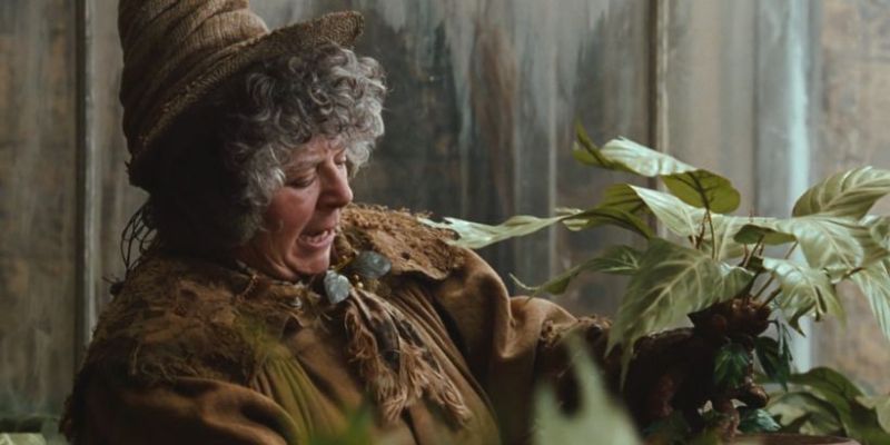 Pomona Sprout – nazwisko nauczycielki zielarstwa jest ściśle powiązane z jej profesją, ponieważ znaczy tyle, co „kiełek” czy „pęd”.