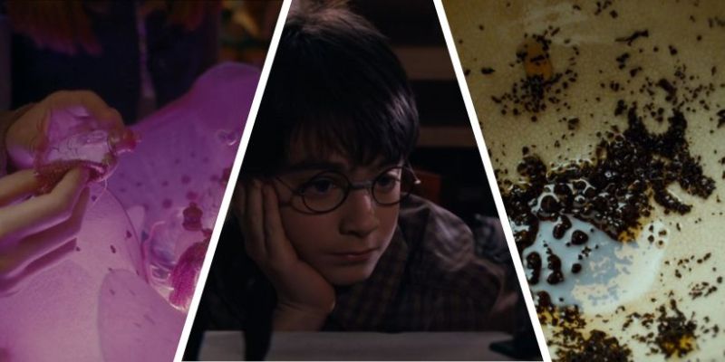 Harry Potter: szalone teorie fanów. Niektóre mają sens