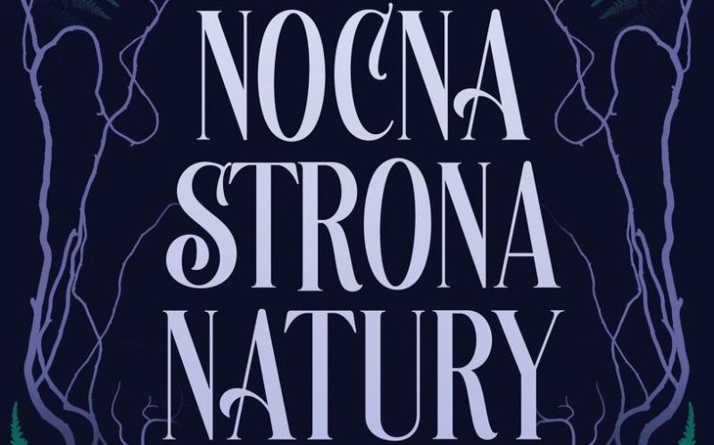 Nocna strona natury albo duchy, widma i zjawy