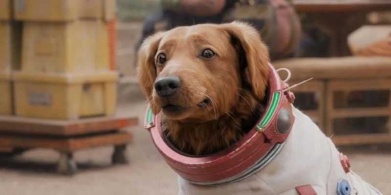 Strażnicy Galaktyki 3: James Gunn wyjaśnił, dlaczego zmienił płeć psa Cosmo w filmie