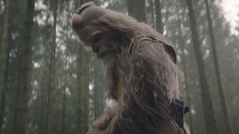 Gwiezdne Wojny: Akolita - Kelnacca to Jedi z rasy Wookiee, który z natury jest samotnikiem i takie też woli prowadzić życie. W tej roli Joonas Suotamo.