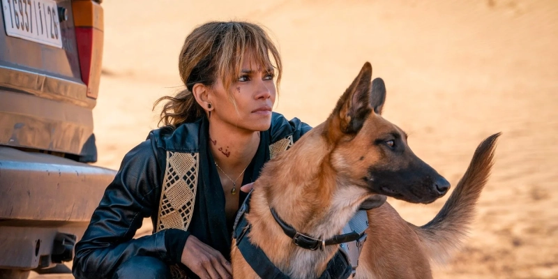 John Wick 3 - Halle Berry przeszła szkolenie z posługiwania się bronią. Intensywny okres przygotowań do roli opierał się również na sztukach walki. 