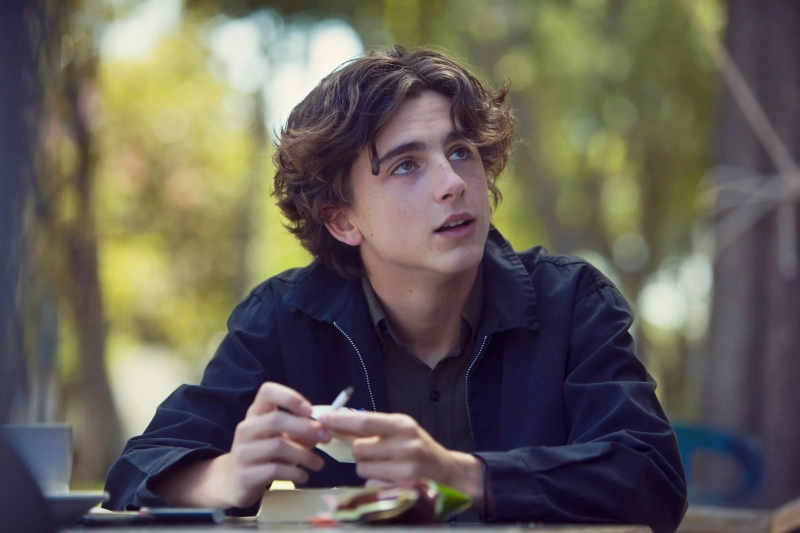 Frodo - Timothee Chalamet