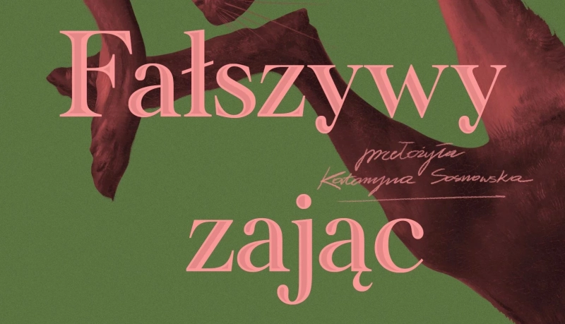 Fałszywy zając - okładka