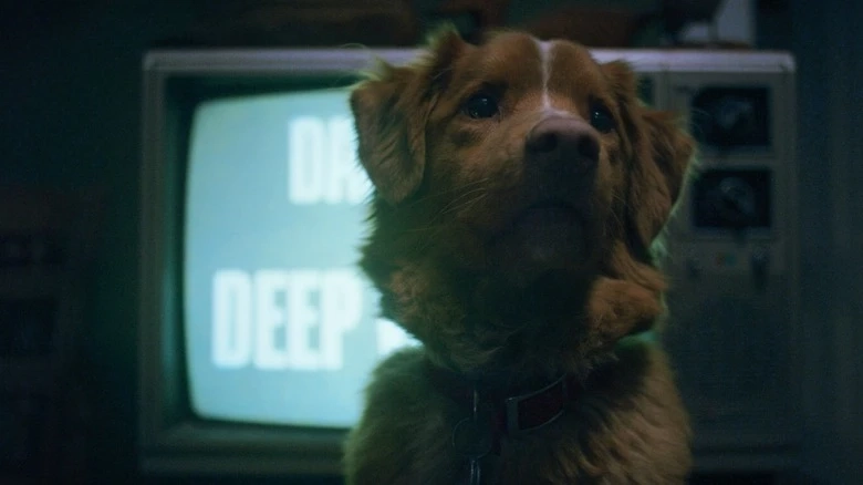Good Boy