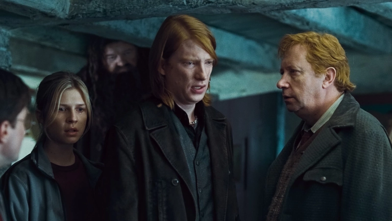 Domhnall Gleeson Harry Potter